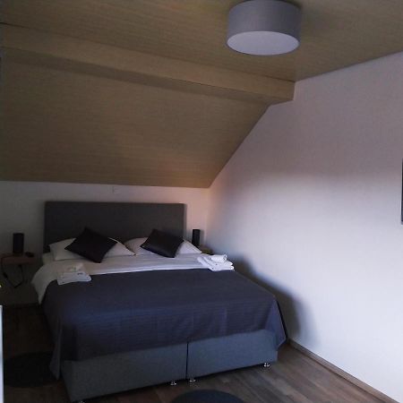 Apartment Trubarjeva33, Near Ljubljana, Free Parking Velike Lasce Exteriör bild