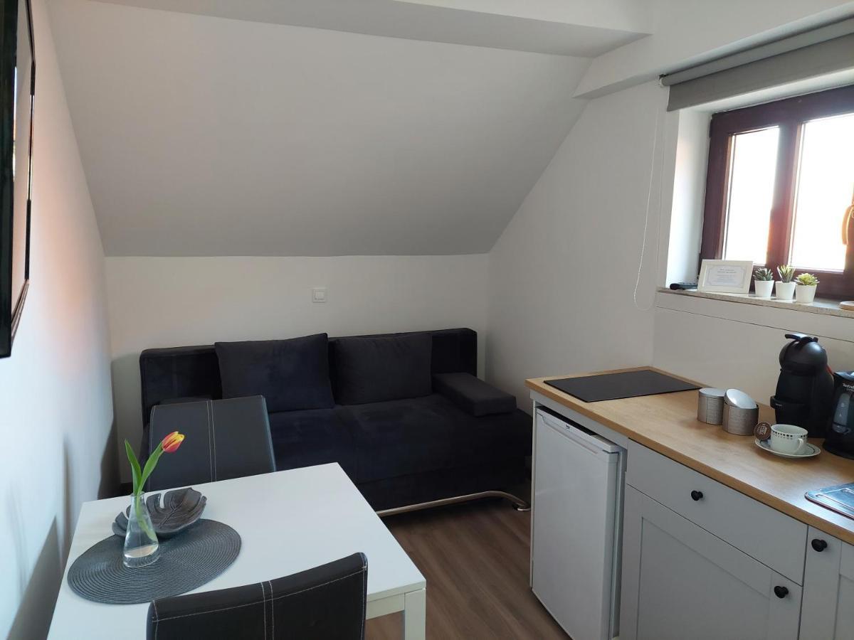 Apartment Trubarjeva33, Near Ljubljana, Free Parking Velike Lasce Exteriör bild